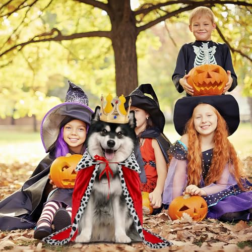 RANYPET Hund König Umhang und Krone, Halloween Haustier Kostüm für Große und Mittlere Hunde, Hundekostüm Hunde König Prinz Kostüm Königin Cosplay für Halloween Party Dressing up Foto(XL)