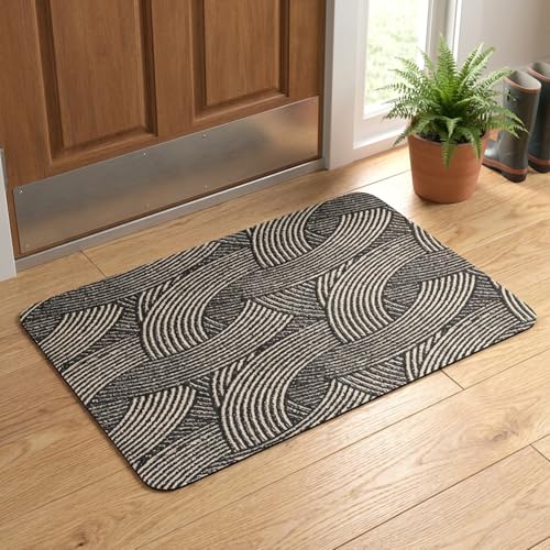 JoWiona Paillasson Entree Interieur et Exterieur 40x60 cm, Tapis Fin & Souple, Antidérapant et Absorbant – Idéal pour Porte d'entrée, Couloir, Cuisine et...