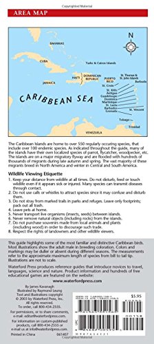 Caribbean Birds: A Folding Pocket Guide to Familiar Species (A Pocket Naturalist Guide) - Image 2