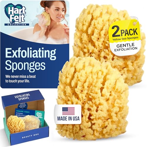 HartFelt CX|W r[eB[{bNX Dpp | V[poXX|W2 jp 4C` | {fBX|W bVobOt N[jO&p | ėp\ȓVRX|W - Mtg{bNX