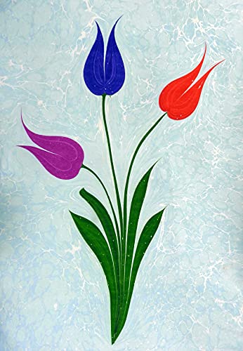 Ahsen Ebru Professionelles Ebru-Set – 53-teiliges Marmorierkunst Komplettset mit Farben, Pinseln, Ebru-Wanne und Zubehör – Für Anfänger & Profis geeignet