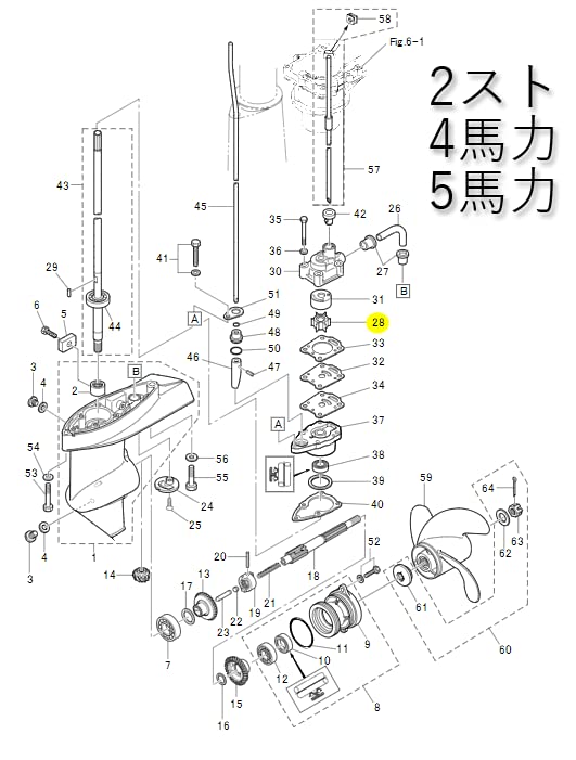 Amazon.co.jp: TOHATSU(トーハツ) インペラ ウォーターポンプ 2