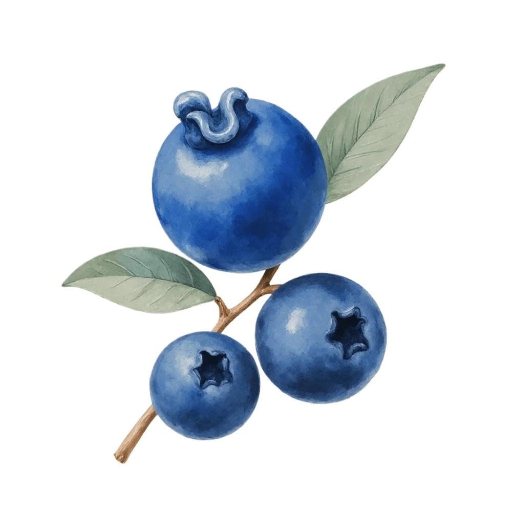 Watercolor Blueberries Brown Branch Vinyl Sticker for Car Windows Laptops Helmets Skateboards