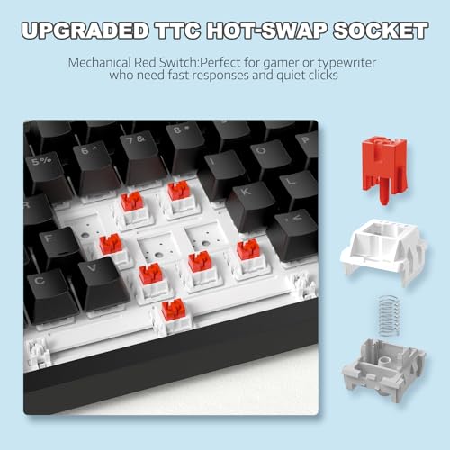 Image of ATTACK SHARK Ajazz AK820 Mechanical Keyboard with CNC Knob Control,75% Gasket Mount Keyboard and Detachable USB Wired Gaming Keyboard for Win /Mac,White Light,NKRO,Blue Clicky Switch(Black)