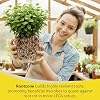 Growth Technology GT Rootzone Liquid Root Biostimulant w/Plant Extracts for Root Growth, Cutting Propagation & Healthy Development for Indoor or Outdoor Plants, Trees & Flowers - 1 Quart (946 ml)