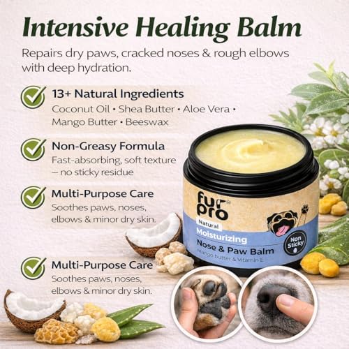 Image of Pet Nose & Paw Balm | Heals, Moisturizes & Softens Dry Paws, Cracked Elbows & Chapped Noses | Enriched with Coconut Oil, Shea Butter, Aloe Vera, Beeswax, Vitamin E & Herbal Oils - 50g