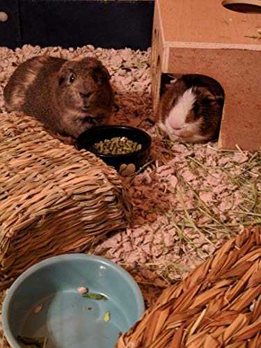 Small Pet Select Premium Small Animal Bedding, Natural Soft Paper Bedding for Small Indoor and Outdoor Pets, Made in USA… - Image 6