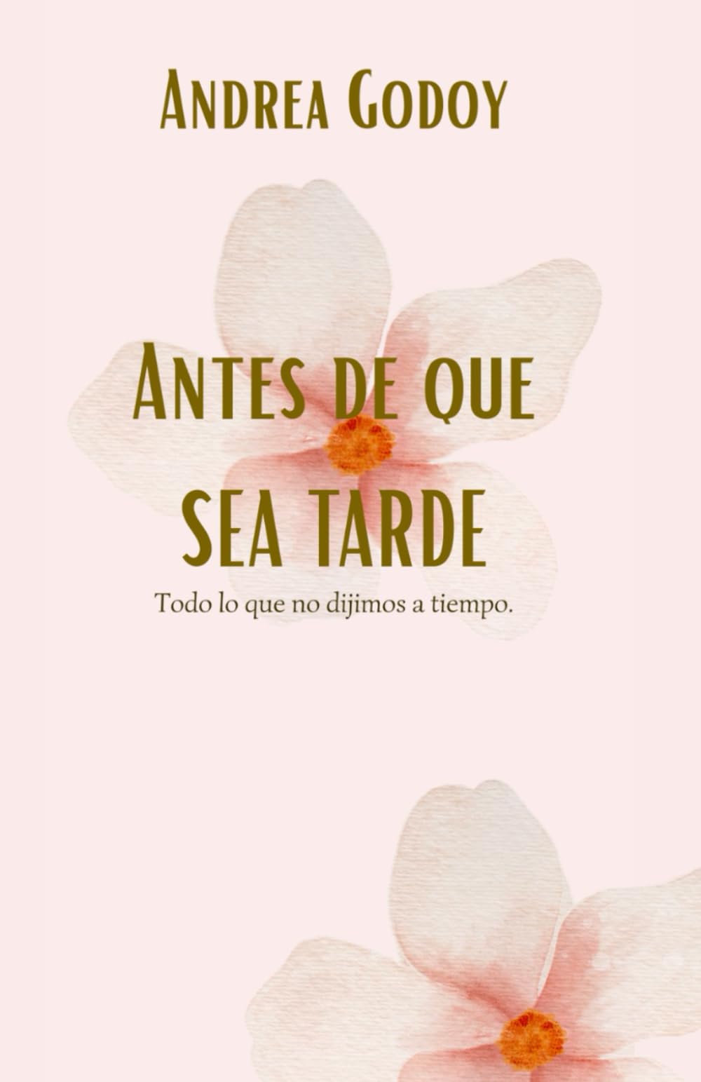 Antes de que sea tarde