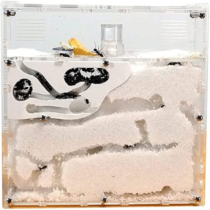 DAPERCI Ant Farm Castle Ant Castle Transparent Acrylic Dry and Wet Double Layer Ant Farm House Workshop Ant Terrarium Ant Manor Ant Habitat