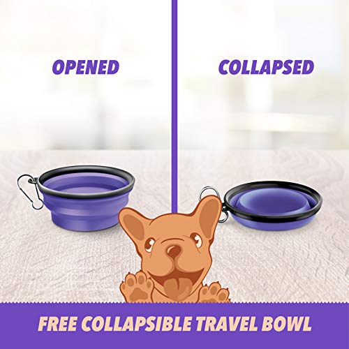 Ruff 'N Ruffus 360° Tangle-Free 16 Ft Retractable Dog Leash For Pets Up To 110 Lbs + Free Travel Bowl + Free Waste Bag Dispenser & 15 Bags + Free Led Charm | Reflective Tape Easy Lock Anti Slip Handle #TOP4