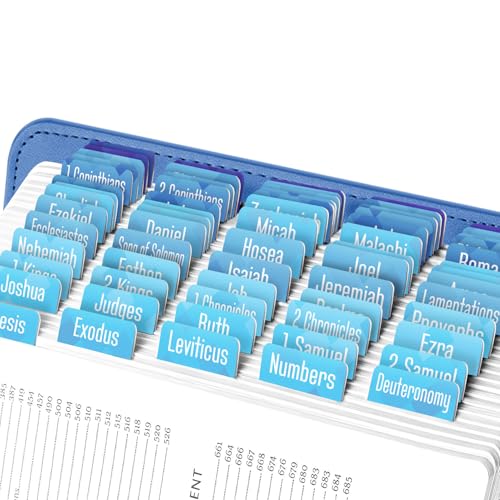 EssexWares - u[ Iu XNGA ^u 񐹏ƐV񐹏p 80̑傫ȃvg^u p ϐ ϋv CfbNX^u jp - 1.75C`