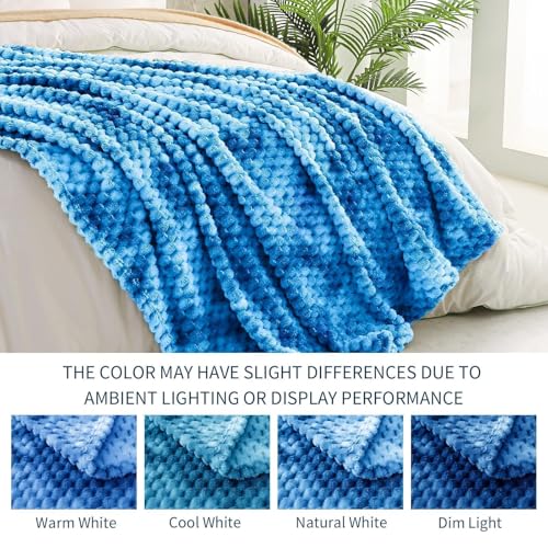 Image of Soft Cozy Plush Sofa Throws for All Seasons, Extra Large Fuzzy Tie-dye Cobalt Blue Bed Blankets, 50x70 Inches Fleece Throw Blanket for Couch by Exclusivo Mezcla