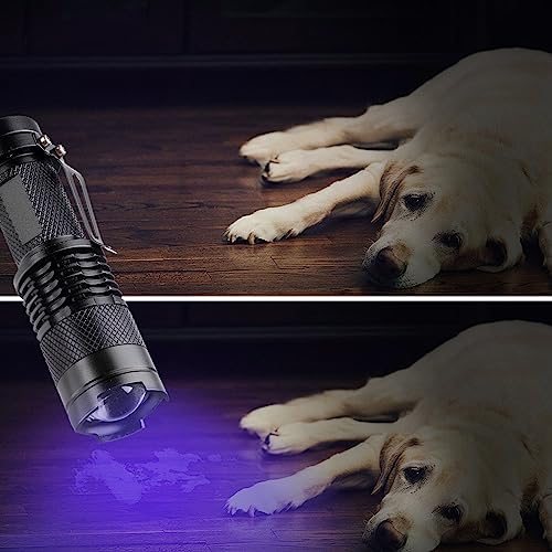 ILantule UV Taschenlampe - Ultraviolettes LED-Licht Mit Einstellbarem Fokus, Schwarzlicht-Strahler für Haustiere Urin-Detektor