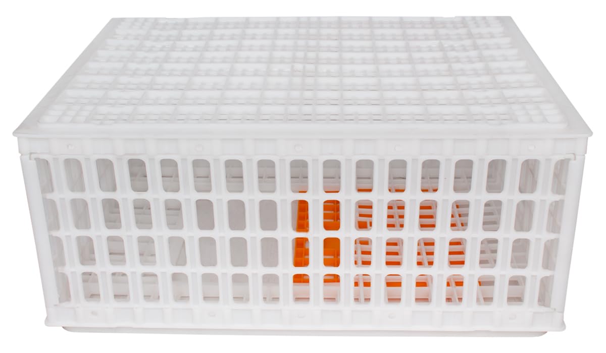Beeketal 'GBB-1' Geflügel Transportbox mit Schiebetür und Transportgriffen - Transportkiste aus robustem Kunststoff zum Transport von Geflügel und Kleintieren - (L/B/H): ca. 730 x 540 x 320 mm