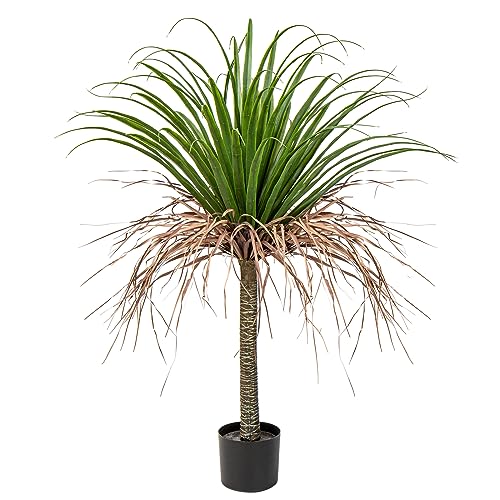 Bloomique - Yucca Elephantipes - Palmlelie - Kamerplanten - Luchtzuiverend - Gemakkelijk in onderhoud - 60-70 cm Hoog - Pot 17 cm