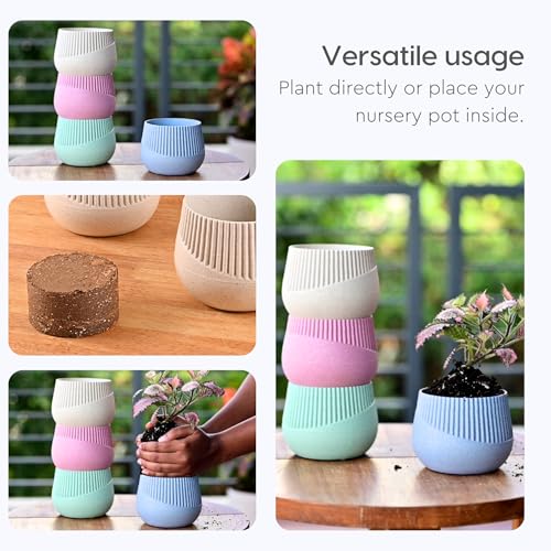 Image of Eha Earth Friendly Oreo 4 inch Small pots for Indoor Plants with 2 Growmix | Pack of 4 | Made with Bamboo Fibers|Table Top Planters for Home Decor and Office, Flower Pot for Living Room|Sand Castle