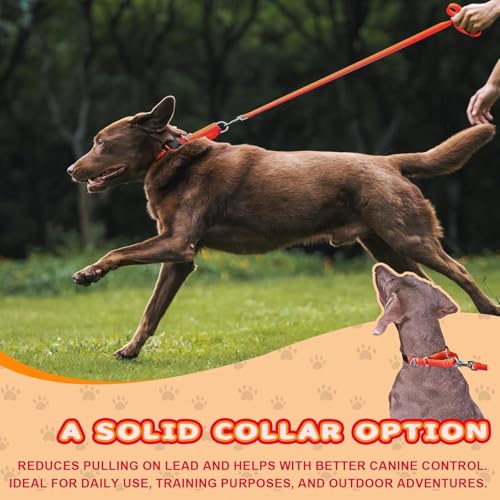 Arblina Martingale Hundehalsband, Reflektierendes Zugstopp Halsband Hunde für Große Mittlere und Kleine Hunde, Nylon Zughalsband mit Stopp für Hunde Whippets, Greyhounds, Saluki, Orange,L