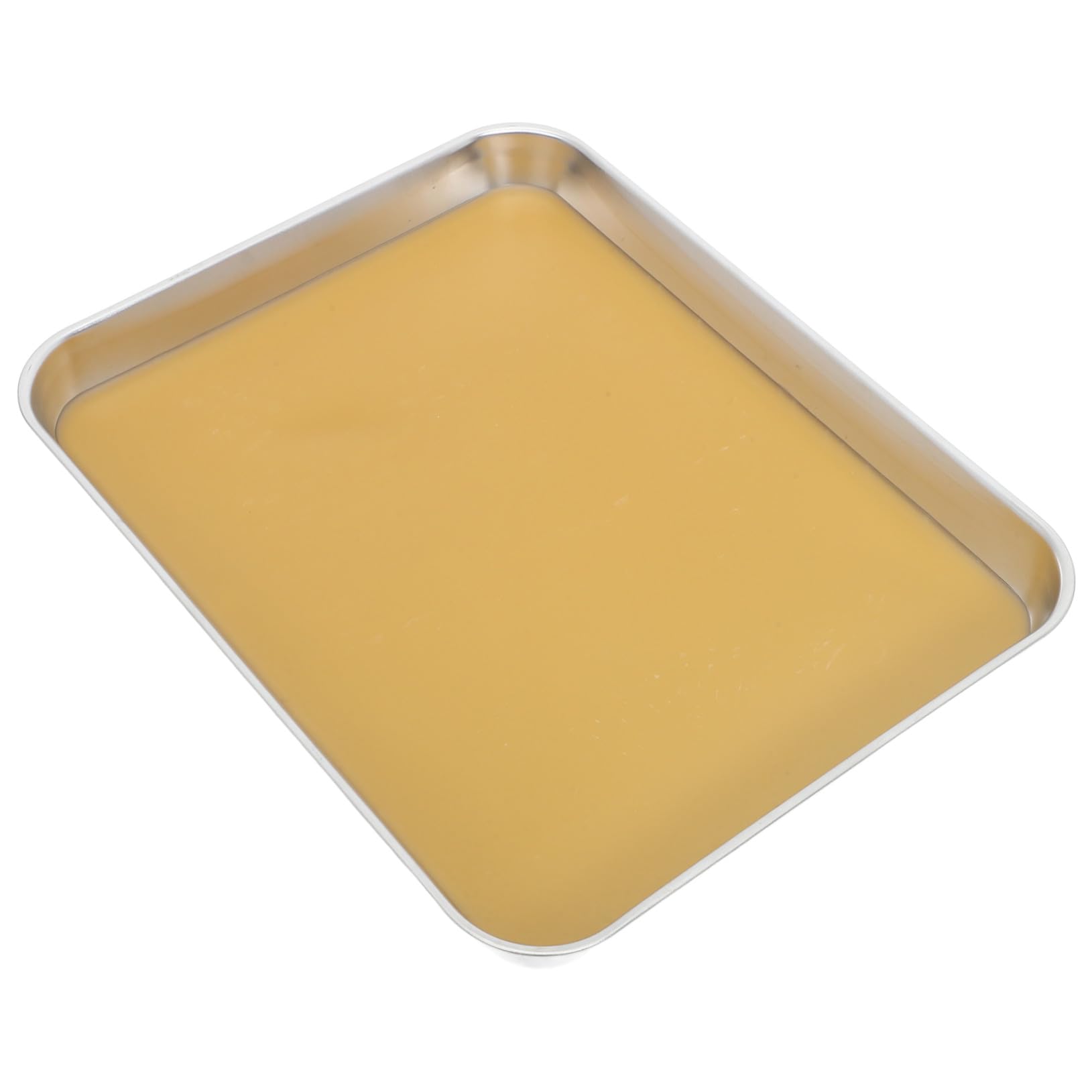 Cabilock Plateau de Dissection Métallique avec Cire pour Laboratoires Outil de Laboratoire Plateau de Dissection pour Spécimens