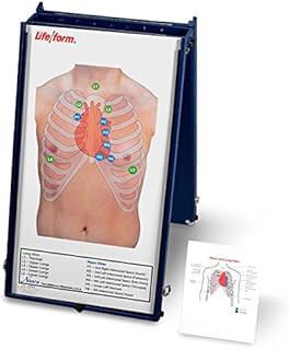 Nasco Auscultation Board W/ Case Only - Model LF01190U - Each