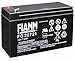 Batteria Fiamm al Piombo 12V 7,2Ah Faston 4,8mm