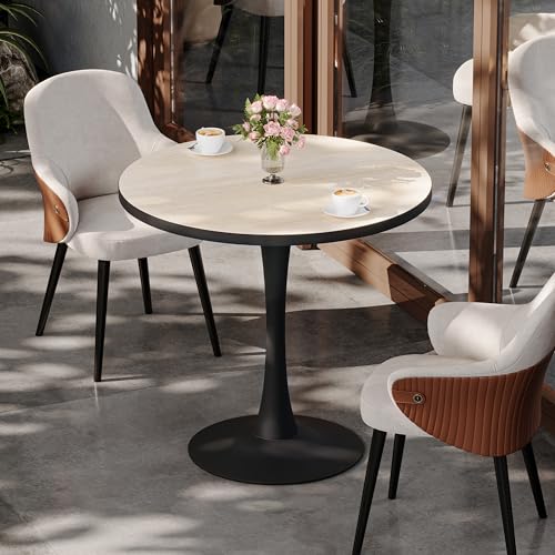 Wisfor Sintered Stone Dining Coffee Table - 30' Round...