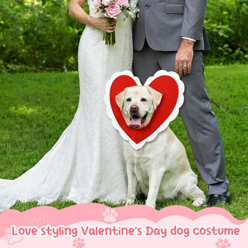 Disfraz para perro con corazón rojo tamaño pequeño miniatura 6