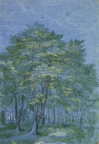 Affiches d'Art bois Hendrik Goltzius pour salon élégant