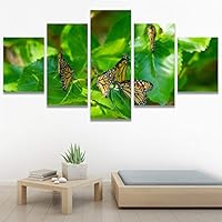 SIGNWIN 5 Panel Canvas Wall Art Modern Art Ants Butterfly Colorful Insects Minimalist Multicolor Photography for Home Decorations Ready to Hang - 60