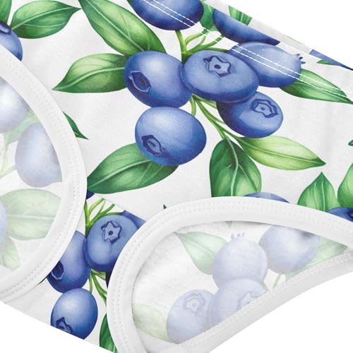 Joisal Pattern Girls Underwear Toddlers 2t Cotton Panties Little Girl Blueberries Green Leaves Briefs Undies Kids4