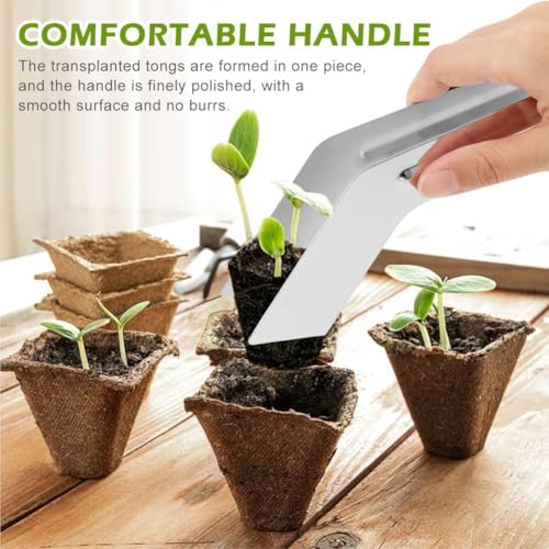 Tenazas para Trasplante de Plántulas de Acero Inoxidable 7.1 pulg miniatura 4