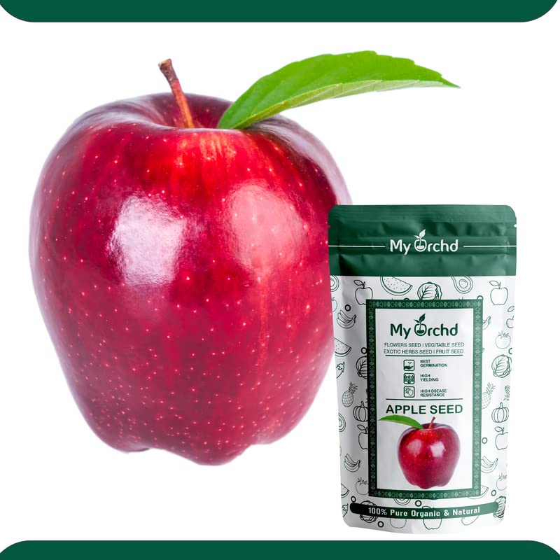My orchd | Premium Shimla Apple Seeds | Sow and Grow Fresh Healthy Seed in Your Garden Perfect for Home & Terrace Gardening (B0C5F11WY8) Amazon Price History, Amazon Price Tracker