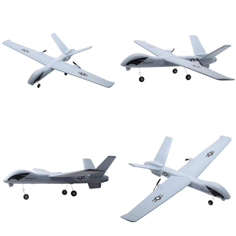 RC Plane, 2.4 Ghz 2 Channels Remote Control Airplane Ready to Fly , EPP