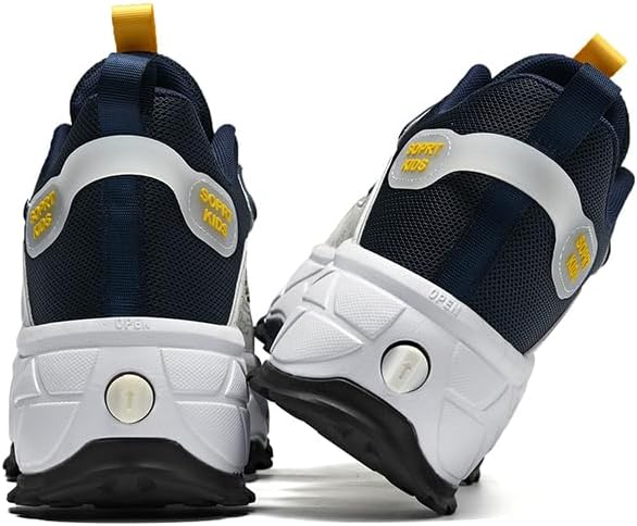 Two-in-one Adjustable 4-Wheel Roller Skates, ice Skates, Roller Skates, Children's Athletic Shoes,