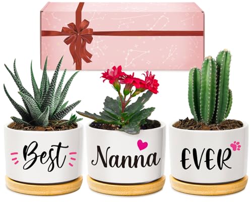 Giftasy Nanna Gifts Nanna Birthday Gifts Best Nanna Ever Succulent Pots Gifts for Nanna from Grandchildren Unique Garden Gift Ideas for Nanna on Mothers Day Christmas