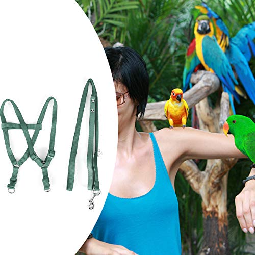 Yuehuam Parrot Flying Lead 120 cm Adjustable Bird Harness Anti-Bite Traction Training Flight Rope for Parrots African Grey Cockatoo Reptiles Lizard Conure - Image 3