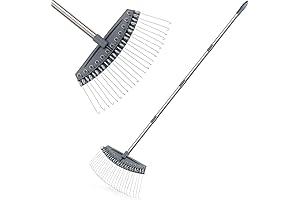 Colwelt Thatch Rake with 24 Steel Tines