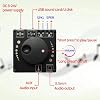DollaTek bluetooth 5.0 20W+20W Stereo Power Amplifier Board Mobile Control APP 12V/24V High Power Digital Amplifier Module