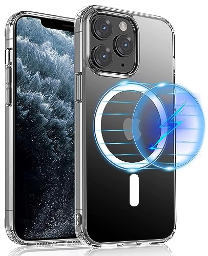 Wunderschne Iphone 11 Pro Max Handyhlle Bild