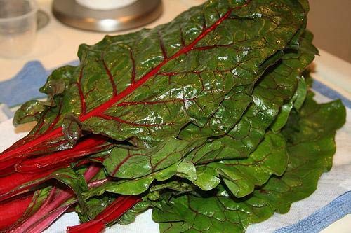 Vegetable: Discovery Swiss Chard 250+ Ct per Package by Thronesfarm