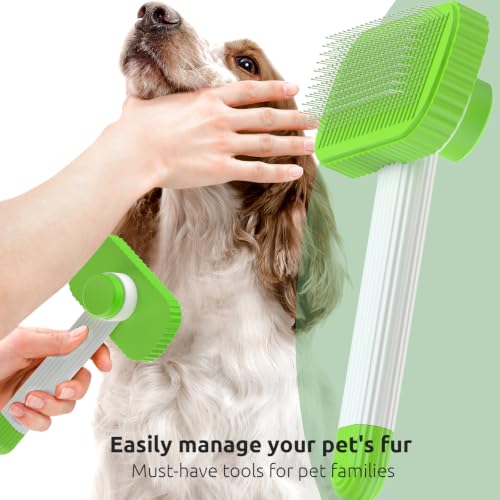 Image of Cat brush, Cat Brush for Long or Short Haired Cats