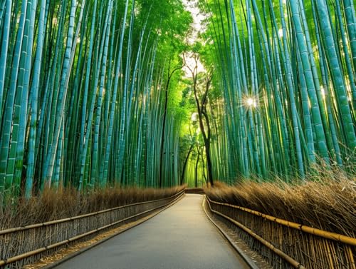 œhG Lbg 40×50cm t[Ȃ l̓hG DIY GZbg ANG̋ƕMt SҌ A[gNtg CeA Mtgp - sR̒|