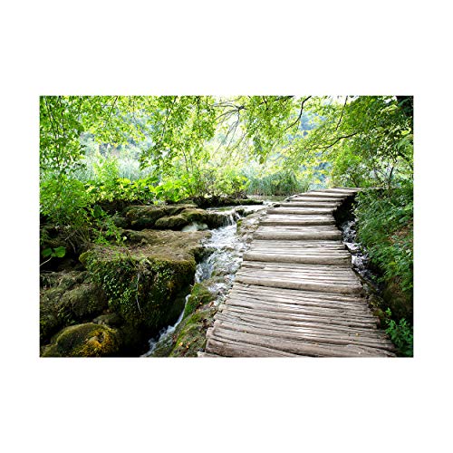 Decomonkey carta da parati Paesaggio 250x175 cm