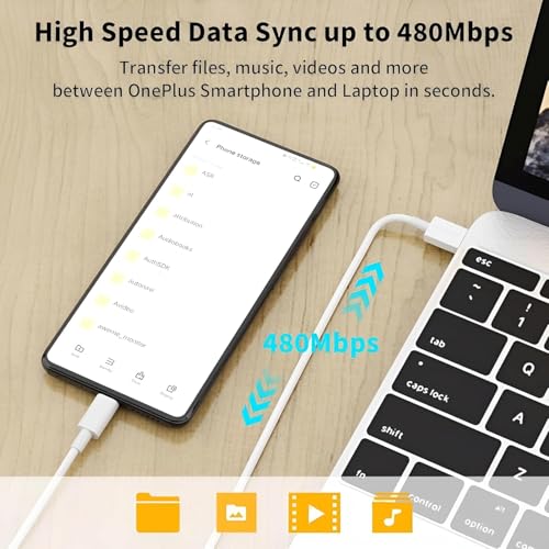 Image of NISHTECH 65W SuperDart USB Type-C Fast Charging Data Cable Compatible with Realme 12 /12 Pro+ /11 Pro+ /11 Pro /10 Pro+ /9 Pro / 8 /7 /C21 | Supports 65W SuperDart & Quick Charge (2 Pack)