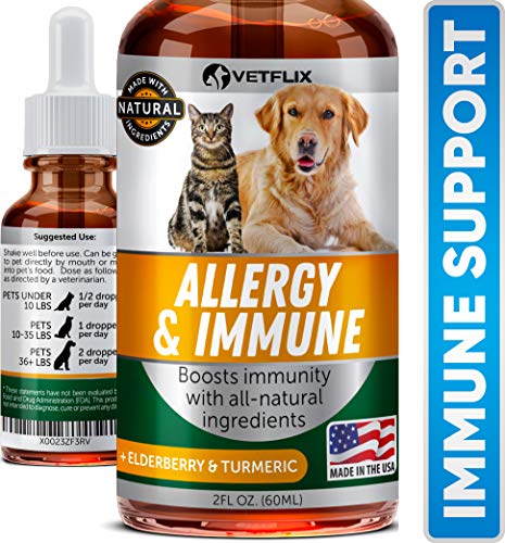 Best Quercetin For Cats