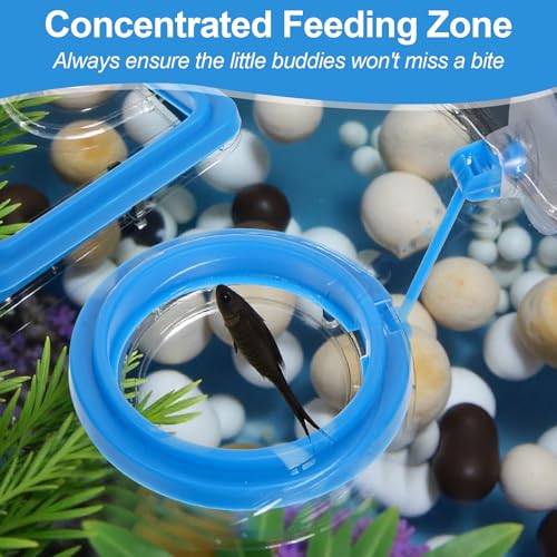 Image of 2 Packs Fish Feeding Rings with Suction Cup Aquarium Feeding Ring Fish Floating Food Feeders, Square & Circle, Blue