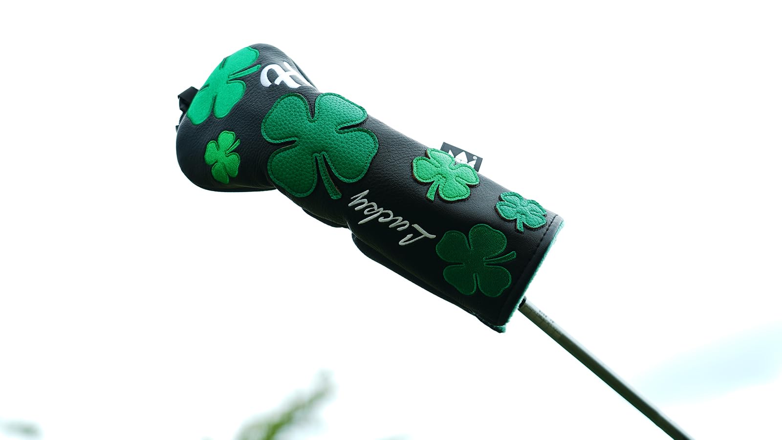 View 6