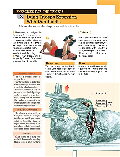 Delavier's Anatomy for Bigger, Stronger Arms