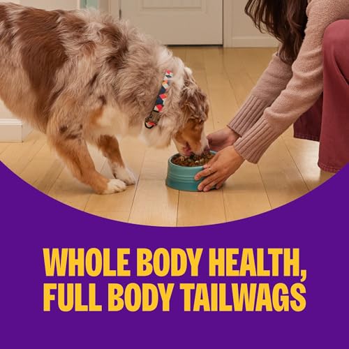 Wellness Complete Health+ Adult Dry Dog Food with Freeze Dried Wellbites, Wholesome Grain Kibble+, Natural, Chicken and Oatmeal Recipe, 4 lb Bag - image 6