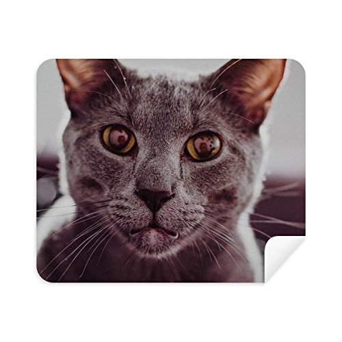 Chiffon Lunettes en Suède Premium Motif Chat Gris Nettoyage Écran 2Pcs