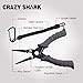 CRAZY SHARK 6